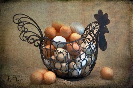 Bobbie Turner-The Egg Basket