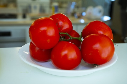 rguido-Tomatos