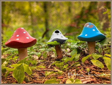 BobbieT-patiotic-Mushrooms