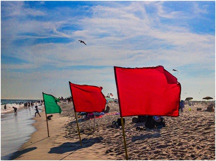 rwarshaue-Summer Fun Beach Flags