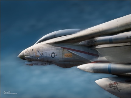 rwarshaue-Flight Angles F14 Tomcat