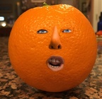 bbaron-Anthropomorphic Orange