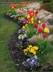 bmccahill-Spring Plantings-1