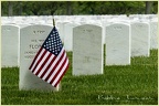 BobbirT-memorial-Day-2020